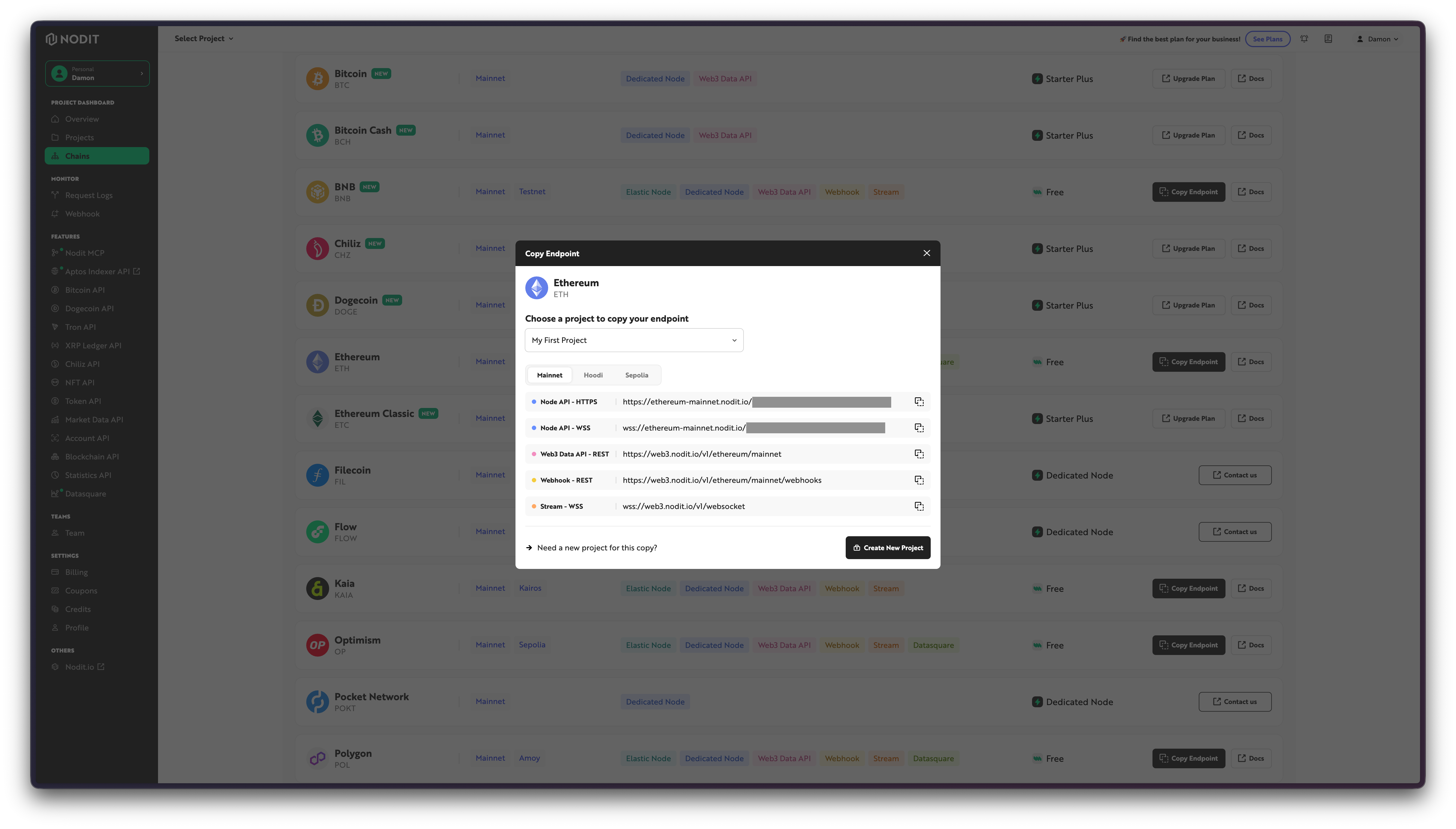 Selecting a chain and copying the endpoint